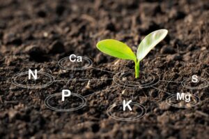 Soil Health in Vancouver, WA